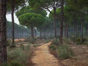 Vistas de la ruta